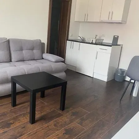 Apartment Kostic *