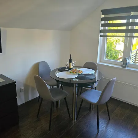 Apartment Kostic Zlatibor